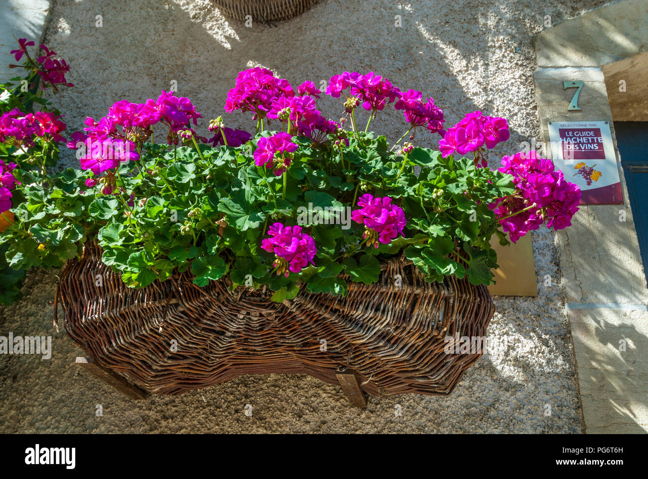 Panier de récolte en osier de Bourgogne, utilisé comme jardinière de géranium à l'extérieur d'un Gevrey Chambertin dégustation de vin degustation Cave Winery Gevrey Chambertin Bourgogne Banque D'Images