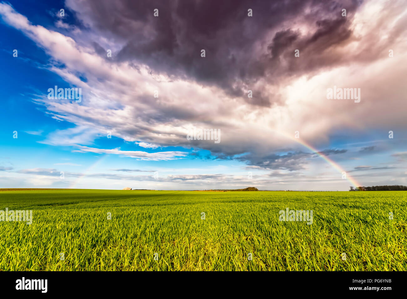 Royaume-uni, Ecosse, East Lothian, North Berwick, rainbow, champ Banque D'Images