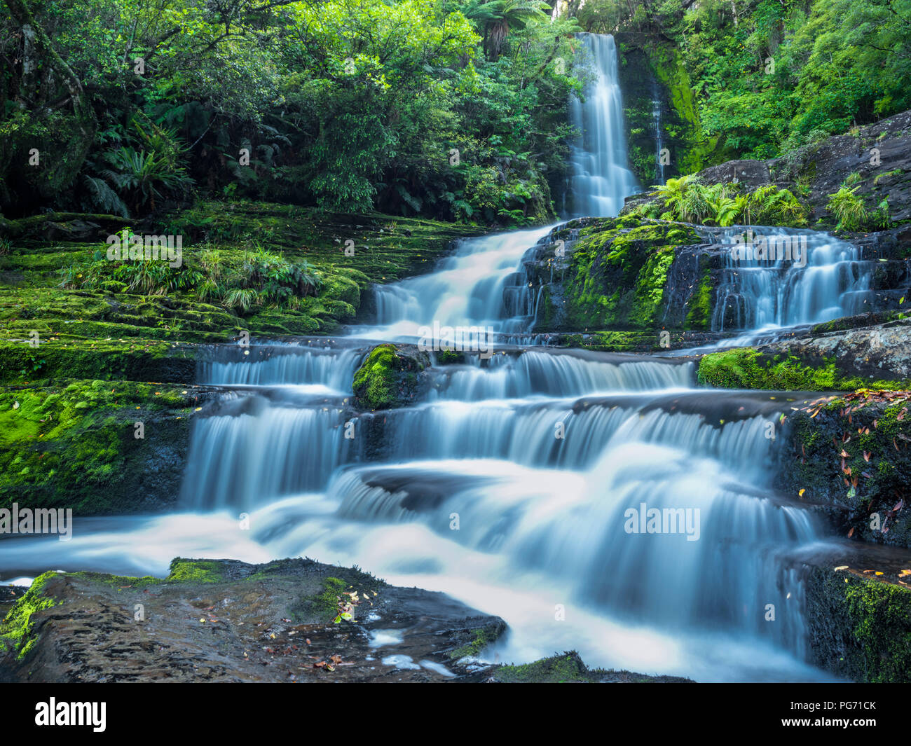 Nouvelle Zélande, île du Sud, McLean Falls au Parc Forestier de Catlins Banque D'Images