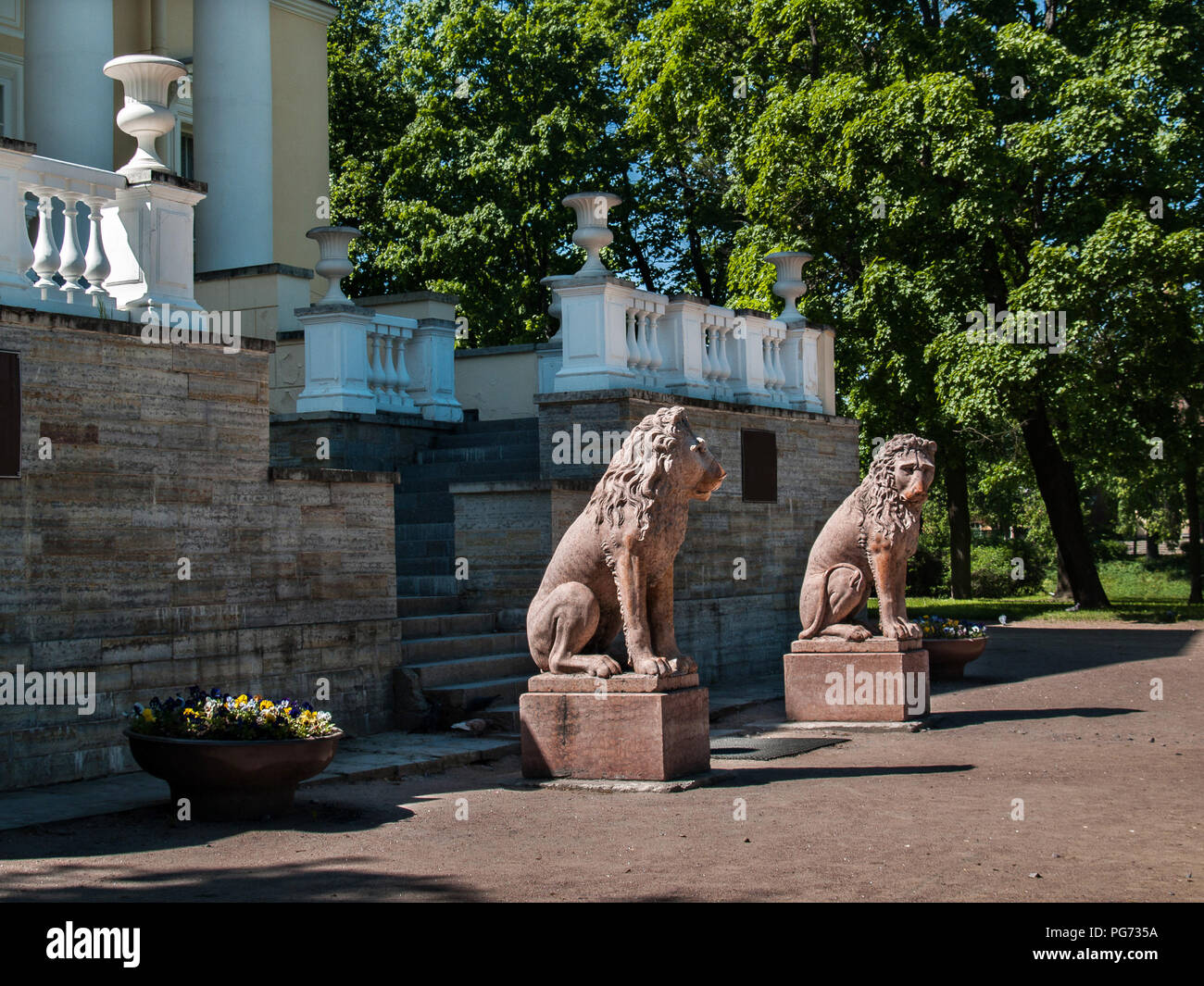 Près de l'escalier avant de la Kochubey Palace il y a deux sculptures de lions de la pierre calcaire jaune en été sur une journée ensoleillée dans la ville o Banque D'Images