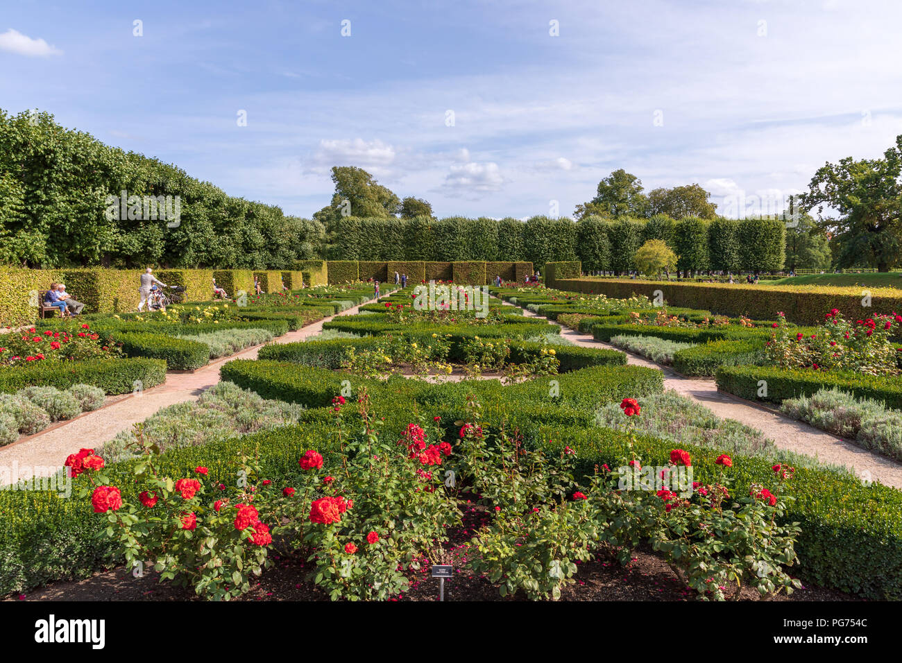 La Roseraie, jardins du château de Rosenborg, Copenhague, Danemark Banque D'Images