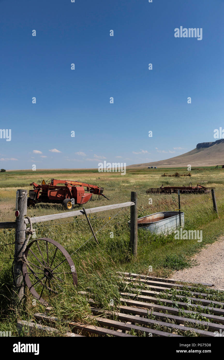 Garde du bétail au Ranch entrée dans les régions rurales de Montana, États-Unis Banque D'Images