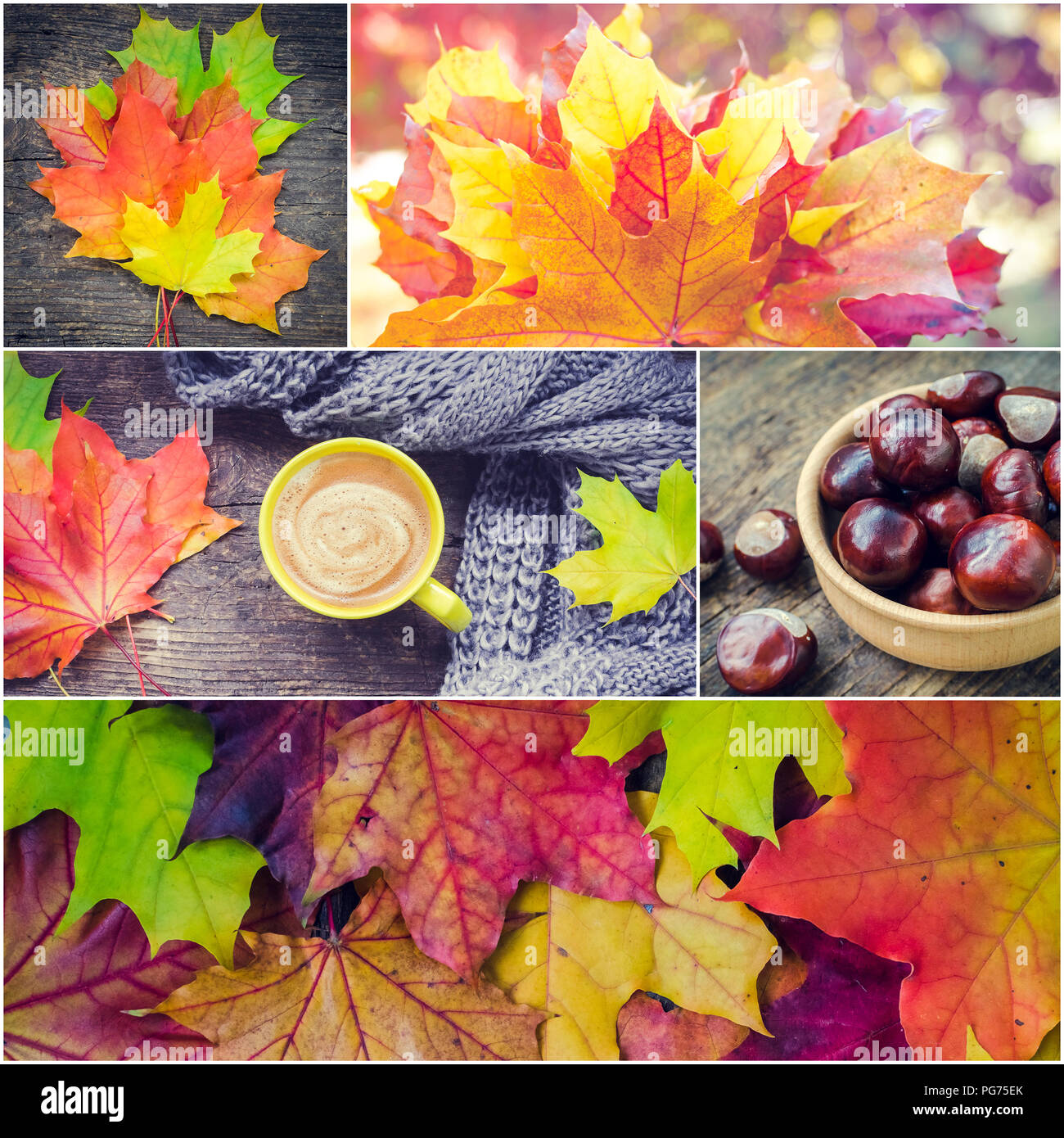 Jeu de l'automne, un collage à partir de photos - fond lumineux et coloré avec des feuilles mortes. Écharpe en tricot chaud et tasse de café sur la table en bois rustique Banque D'Images