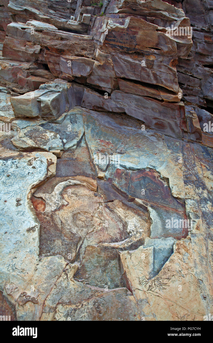 Détails de motifs et de couleurs dans la roche Banque D'Images