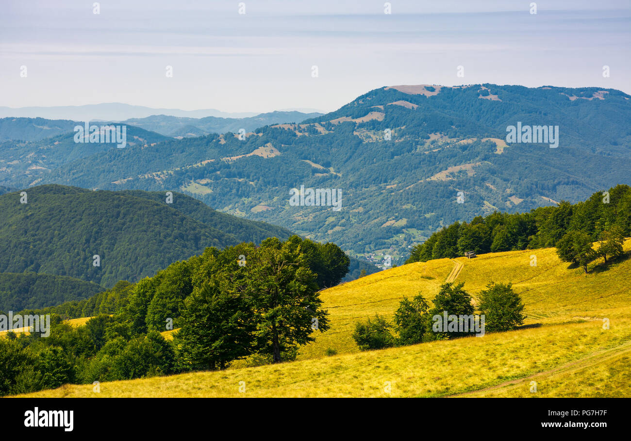 Le chemin herbeux alpine meadow. montagne dans la distance. forêt de hêtres sur collines. beau paysage d'été Banque D'Images