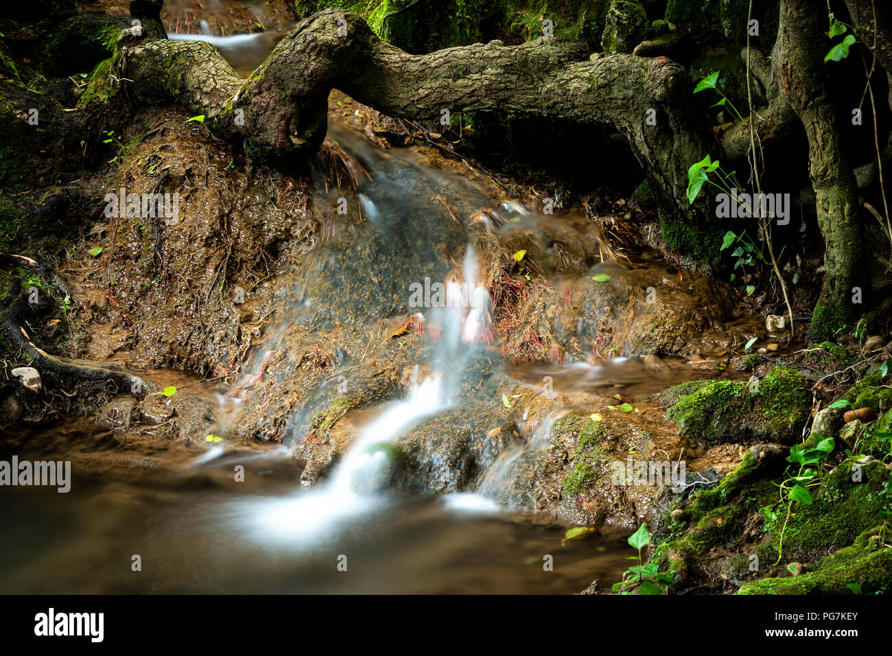 Petite cascade sous streaming tronc d'arbre dans les bois des temps d'exposition Banque D'Images