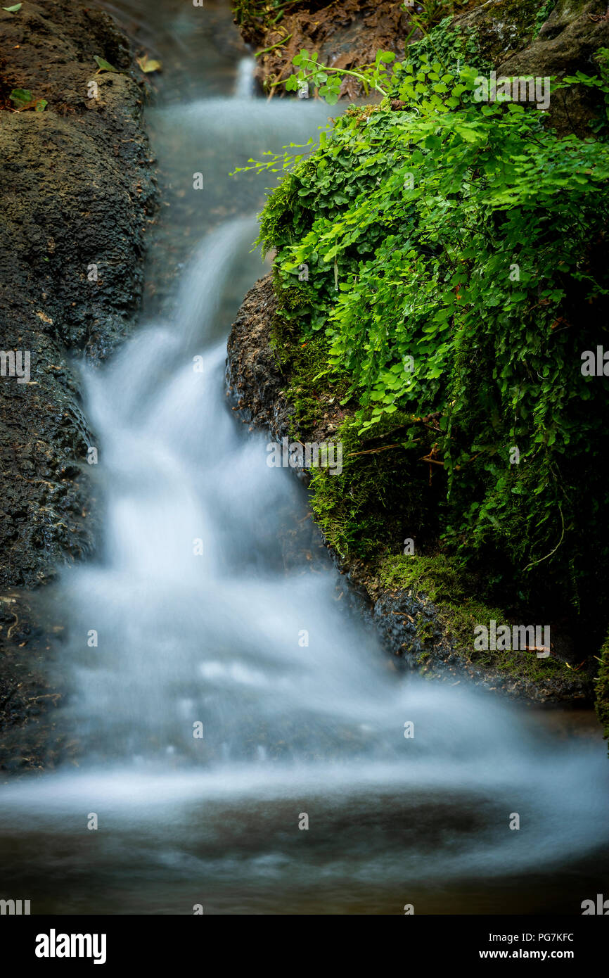 Petite chute d'eau coulant sur la roche dans les bois des temps d'exposition Banque D'Images