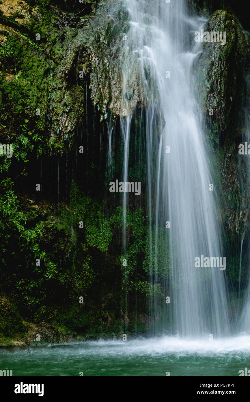 Nettoyer l'eau qui coule en cascade sur la roche à l'étang dans les bois verts des temps d'exposition Banque D'Images