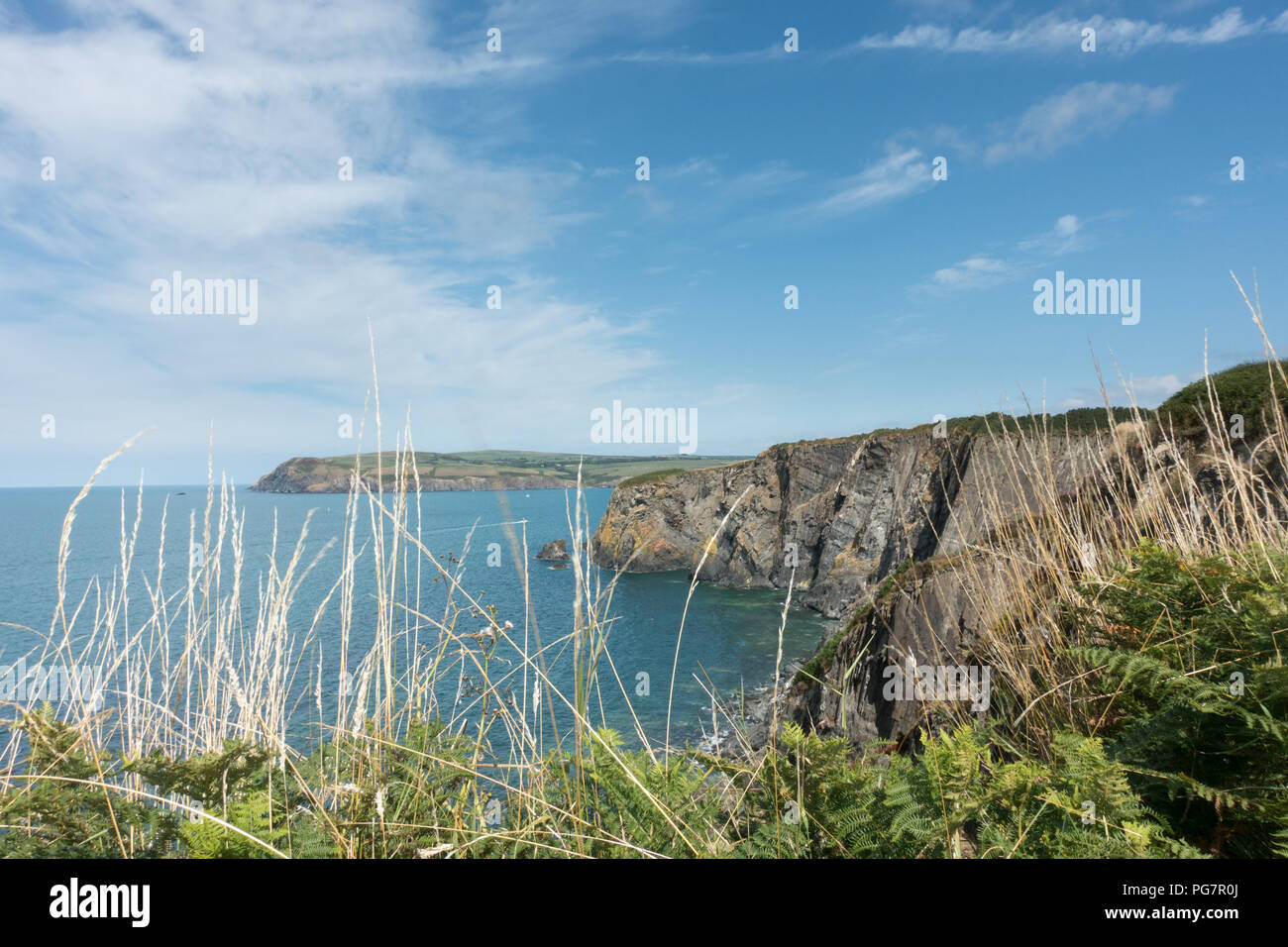 Newport est une jolie ville côtière sur l'embouchure de la rivière Nevern. C'est sur le chemin du littoral Pembrokshire Banque D'Images