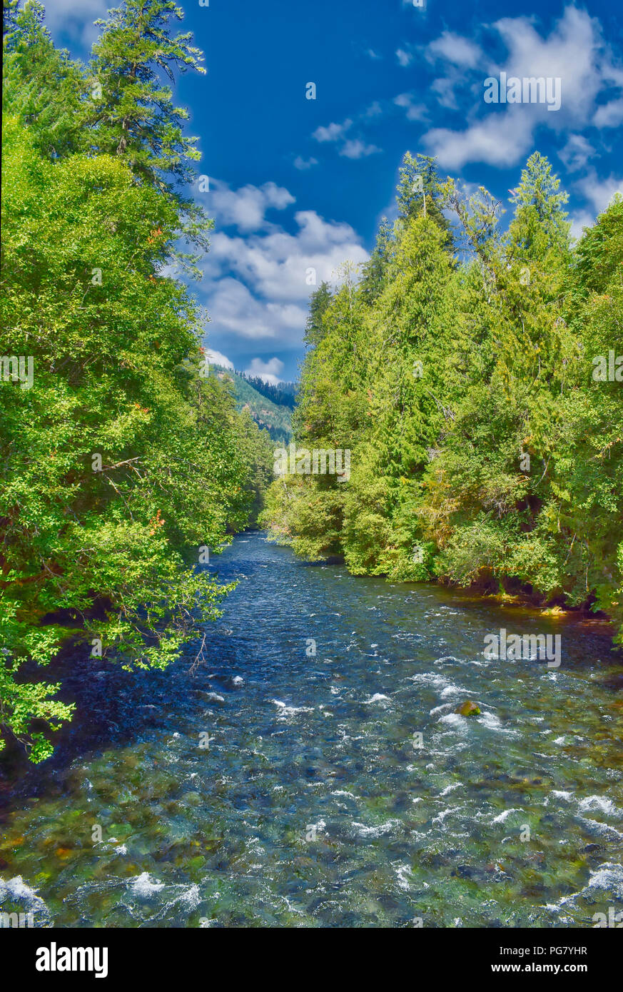 McKenzie River dans l'Oregon. Banque D'Images