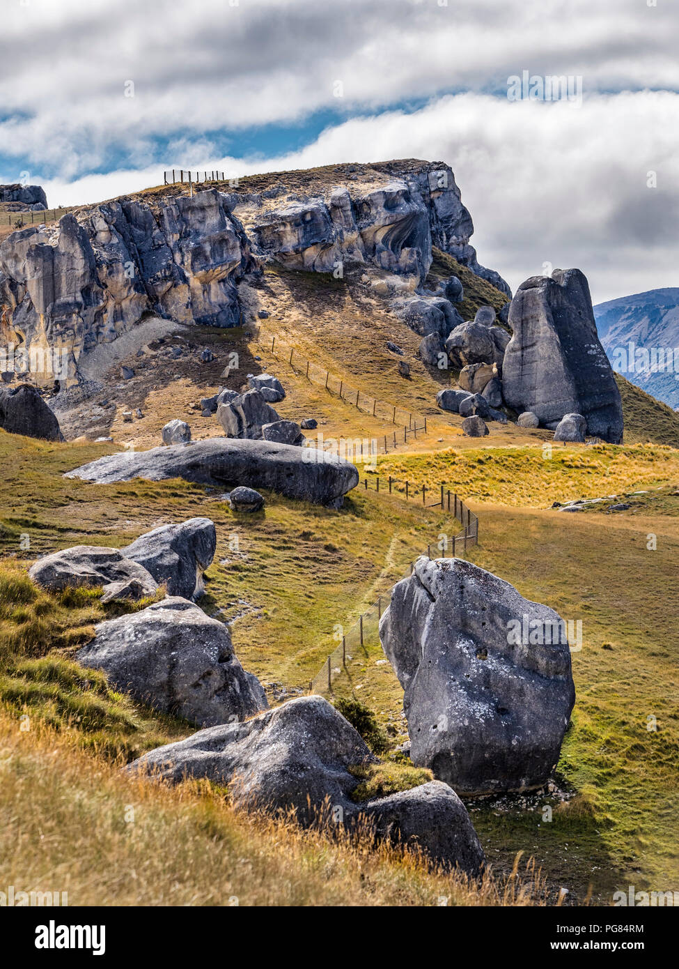 Nouvelle Zélande, île du Sud, région de Canterbury, Arthur's Pass National Park, Castle Hill Banque D'Images