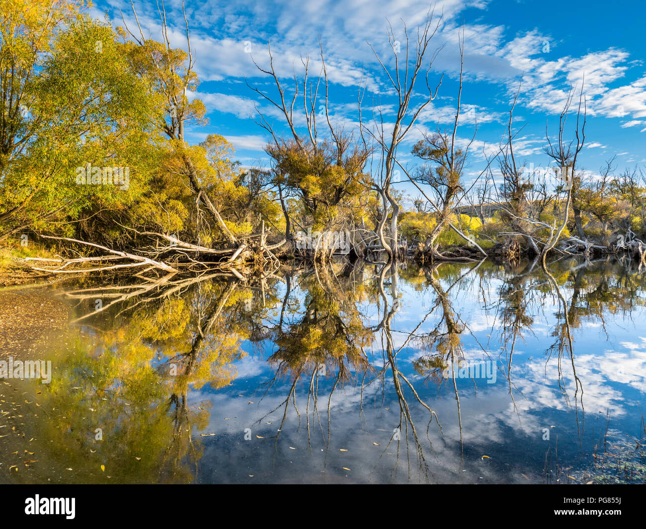 Nouvelle Zélande, île du Sud, région de Canterbury, l'eau près de Lake Tekapo Banque D'Images