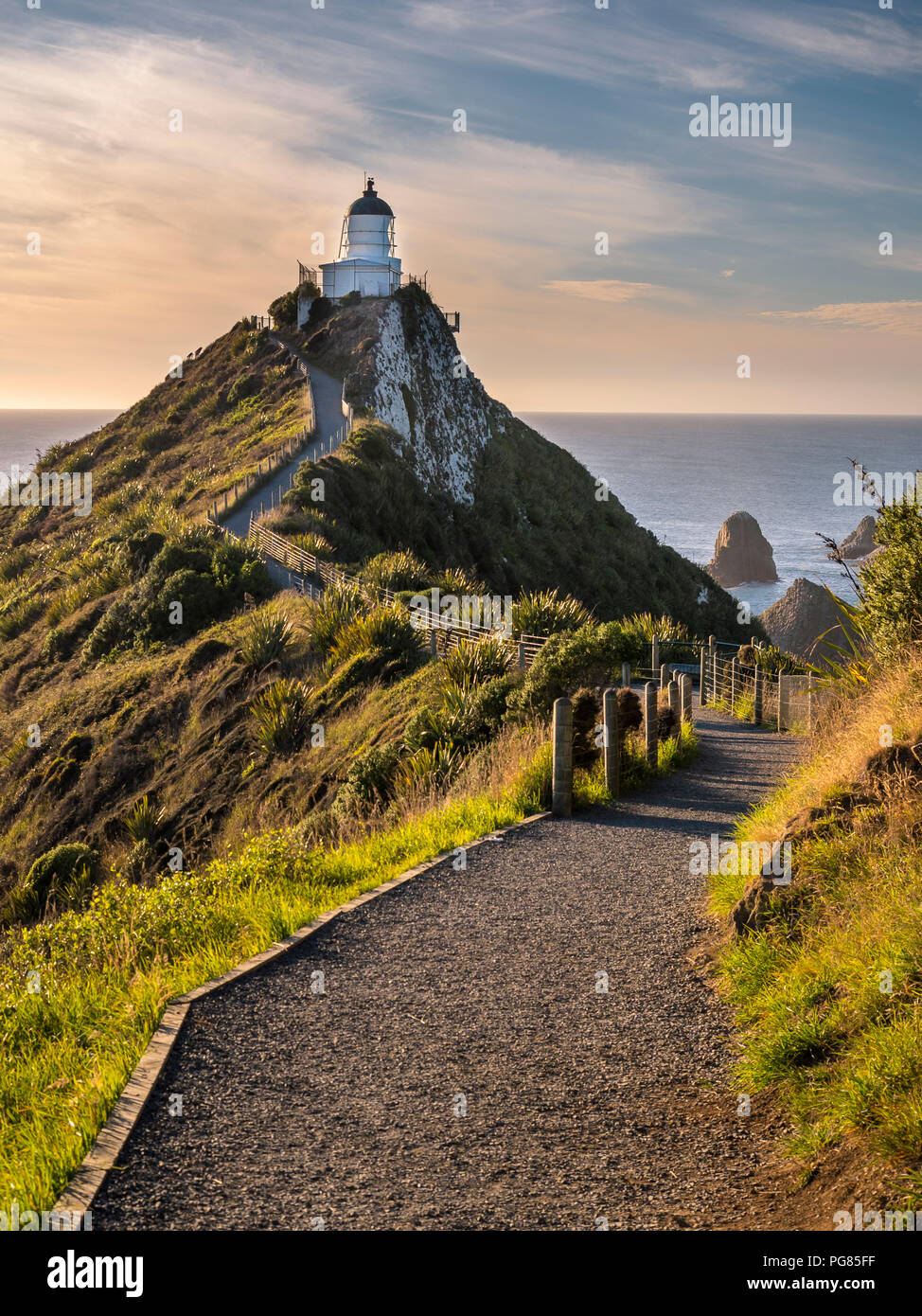 Nouvelle Zélande, île du Sud, le sud de l'itinéraire touristique, Catlins, Nugget Point Lighthouse Banque D'Images