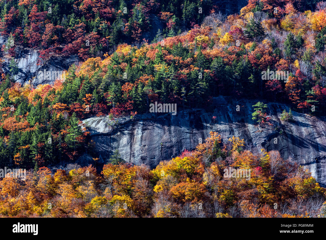 Feuillage d'automne sur une montagne escarpée, White Mountains National Forest, New Hampshire, USA. Banque D'Images