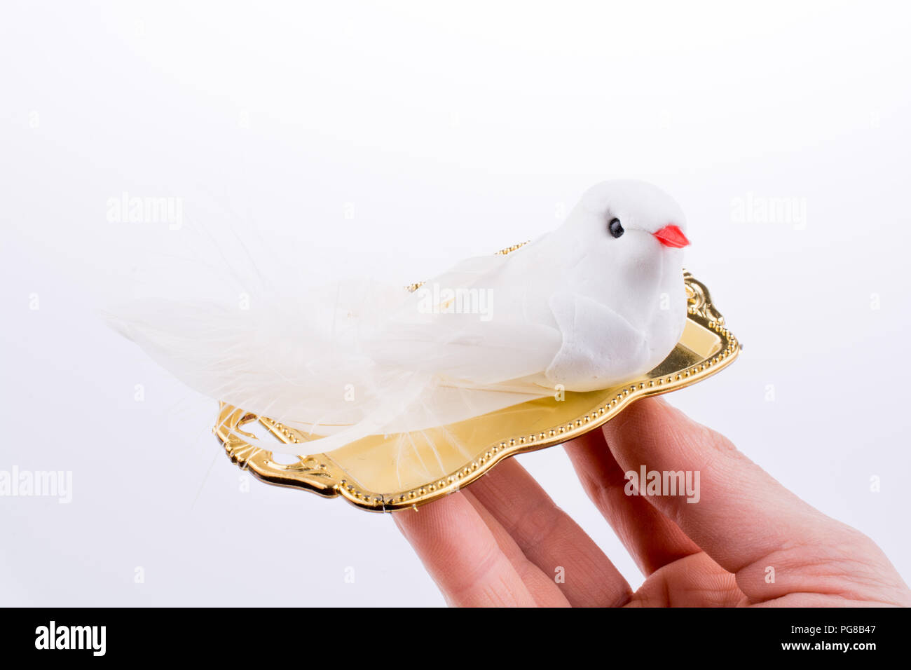 Main tenant le bac d'or et d'oiseau Banque D'Images