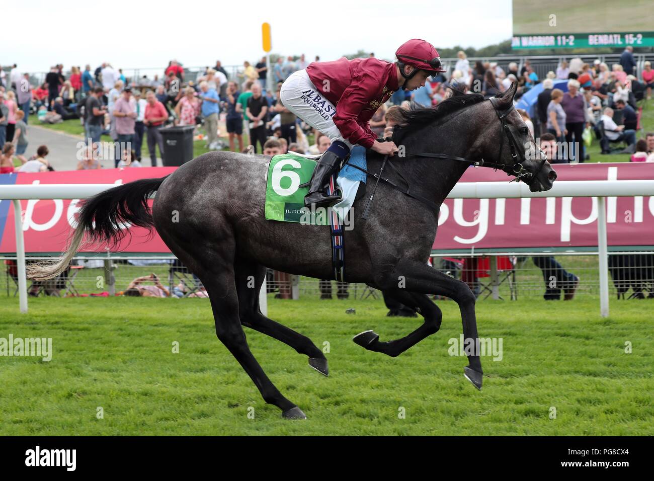 Lion rugissant monté par Osin Murphy Le Juddmonte International Festival Ebor 2018 hippodrome de York, l''hippodrome de York, York, Angleterre 22 août 2018 Allstar Crédit : photo library/Alamy Live News Banque D'Images