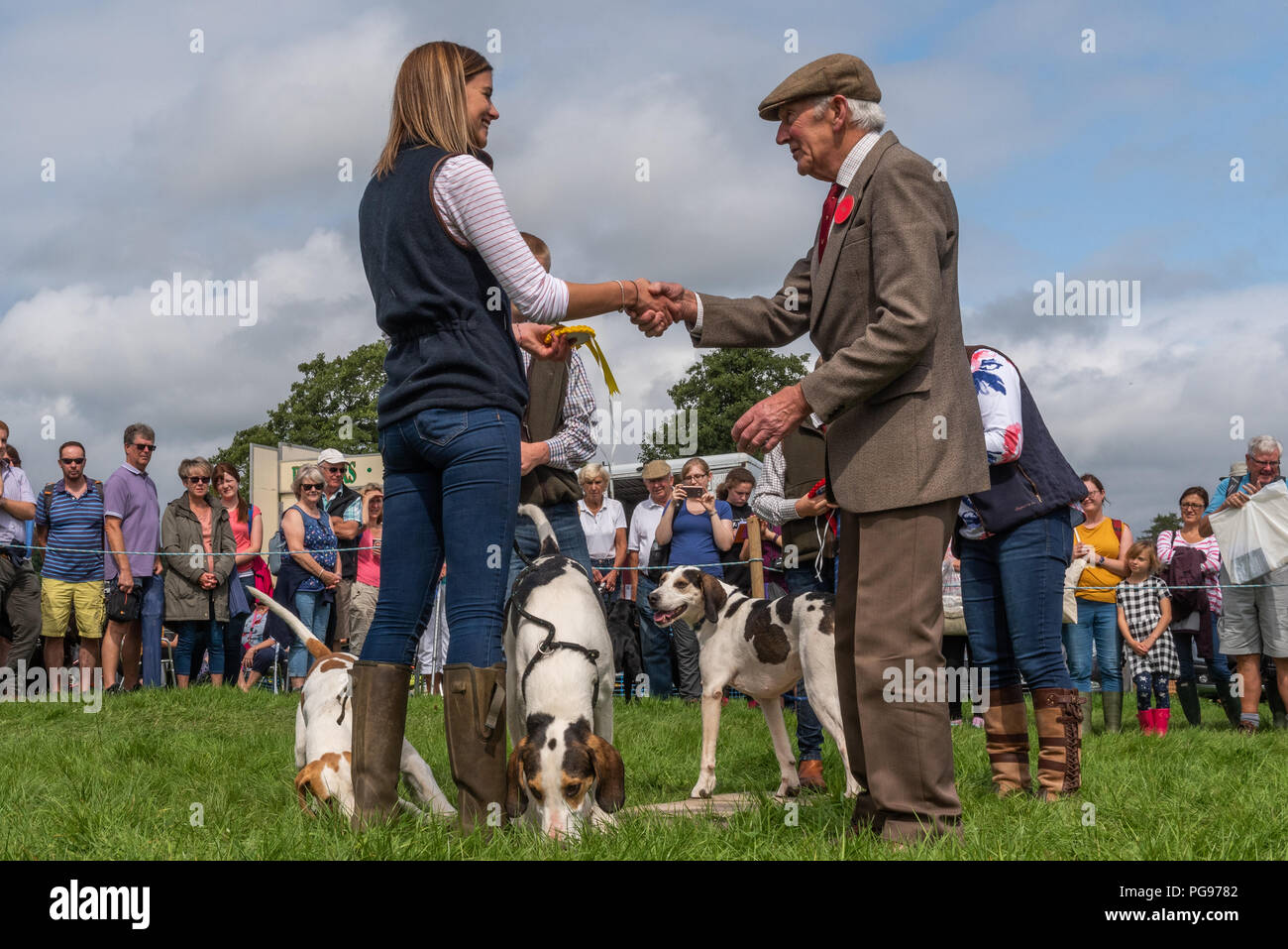 La réception de son concurrent pour la rosette à la classe foxhound Show Hawkshead dans Cumbria Banque D'Images