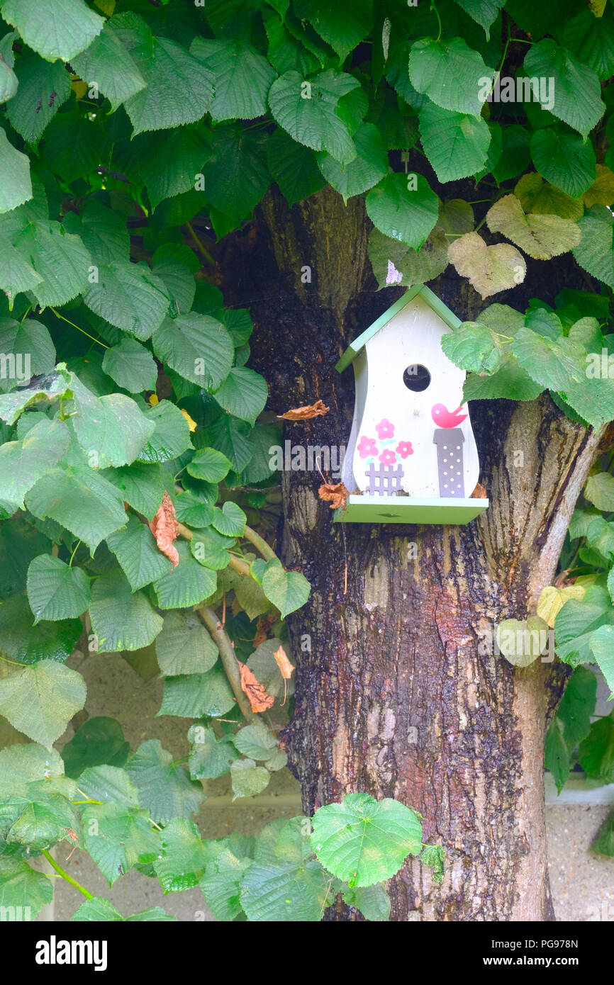 Jolie maison d'oiseaux nichoir peint attaché à l'écorce d'arbre Banque D'Images