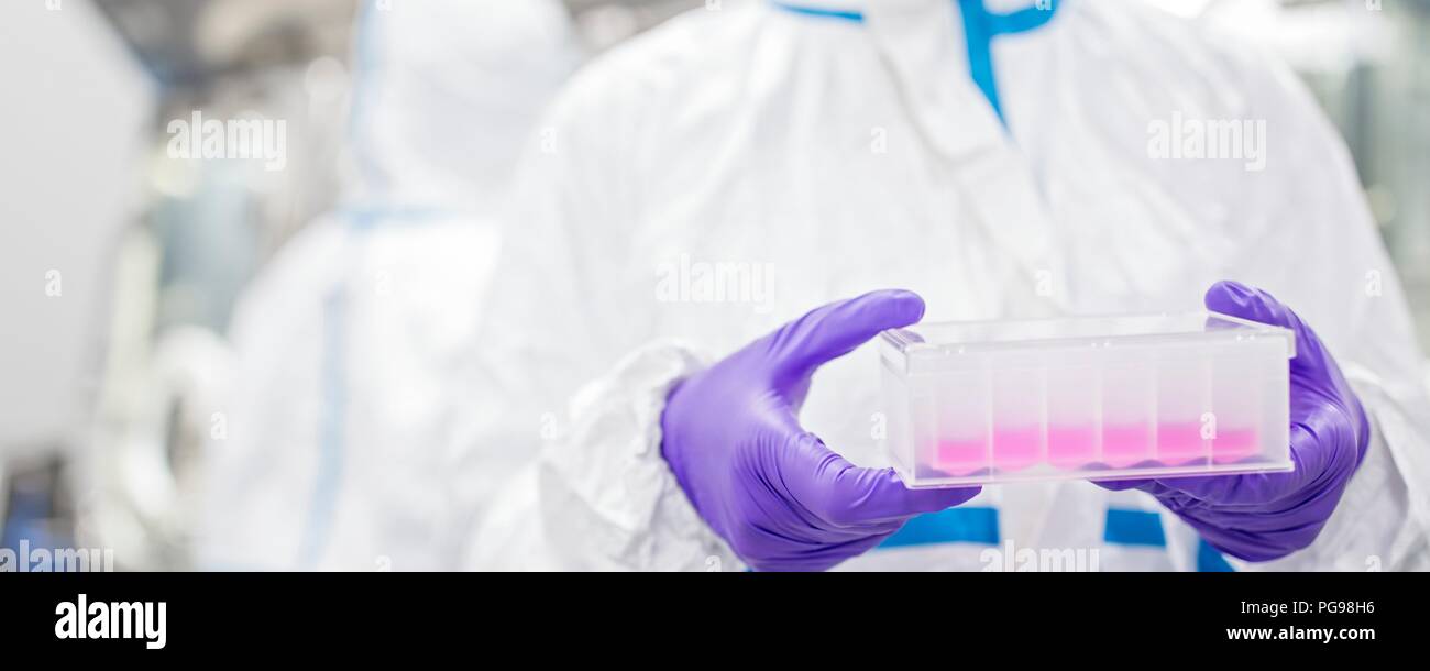 Close-up d'un technicien de laboratoire portant un kit de test à base de cellules dans un laboratoire que les ingénieurs des tissus humains pour l'implant. Ces implants comprennent l'os et des greffes de peau. Banque D'Images