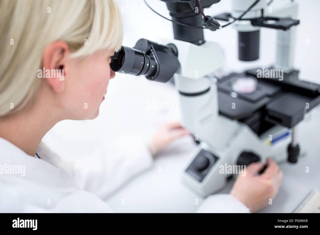 L'examen scientifique des cellules au microscope. Banque D'Images