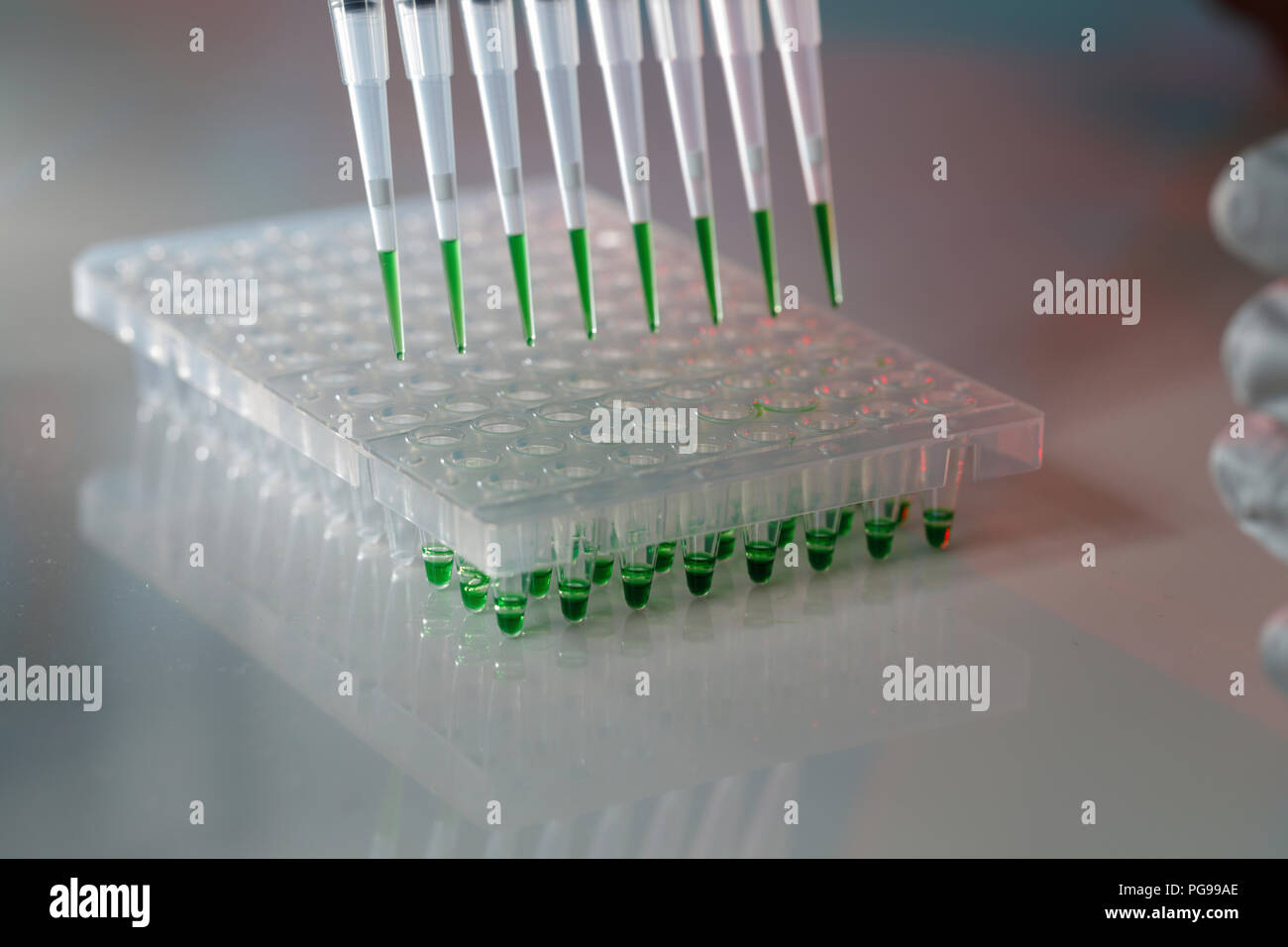 Pipette multicanaux. Banque D'Images