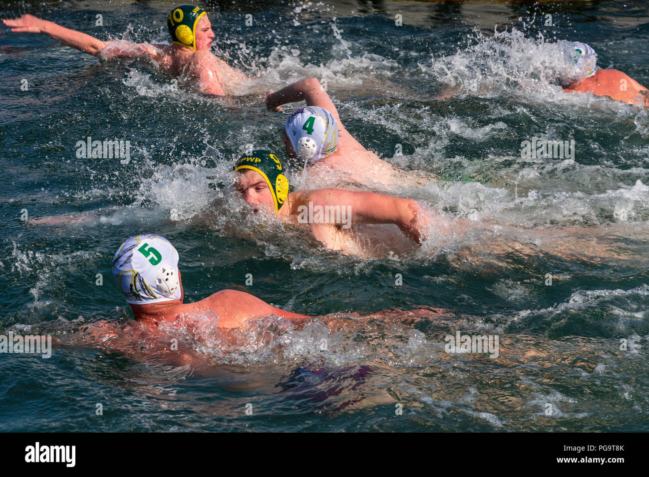 L'eau de mer Splash Lyme Polo Championships Banque D'Images