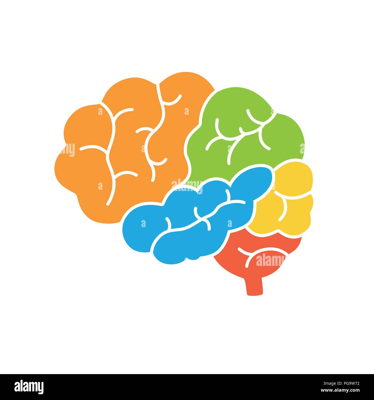 Un diagramme du cerveau humain Vue de côté, l'anatomie. Vector illustration dans un style design plat isolé sur fond blanc Illustration de Vecteur