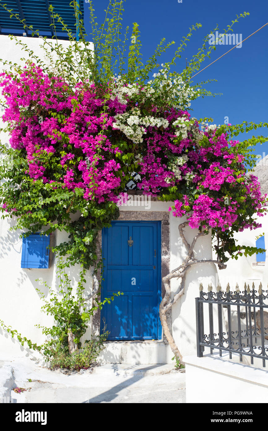 Une maison à Emborio avec bougainvilliers colorés et une porte bleue à Santorin. Banque D'Images