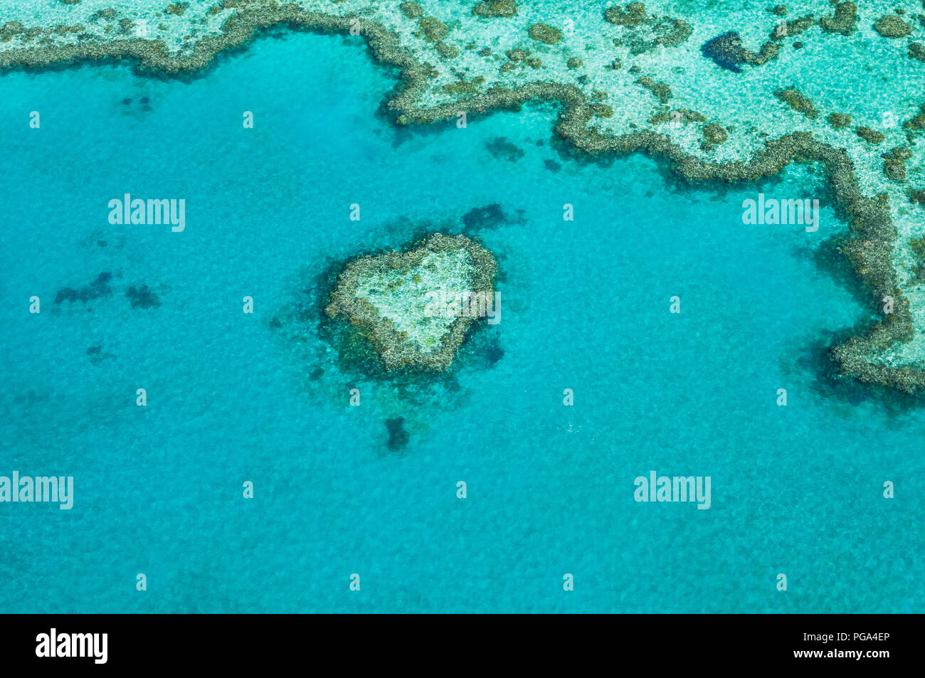 Célèbre récif coeur niché dans la Grande Barrière de Corail. Banque D'Images