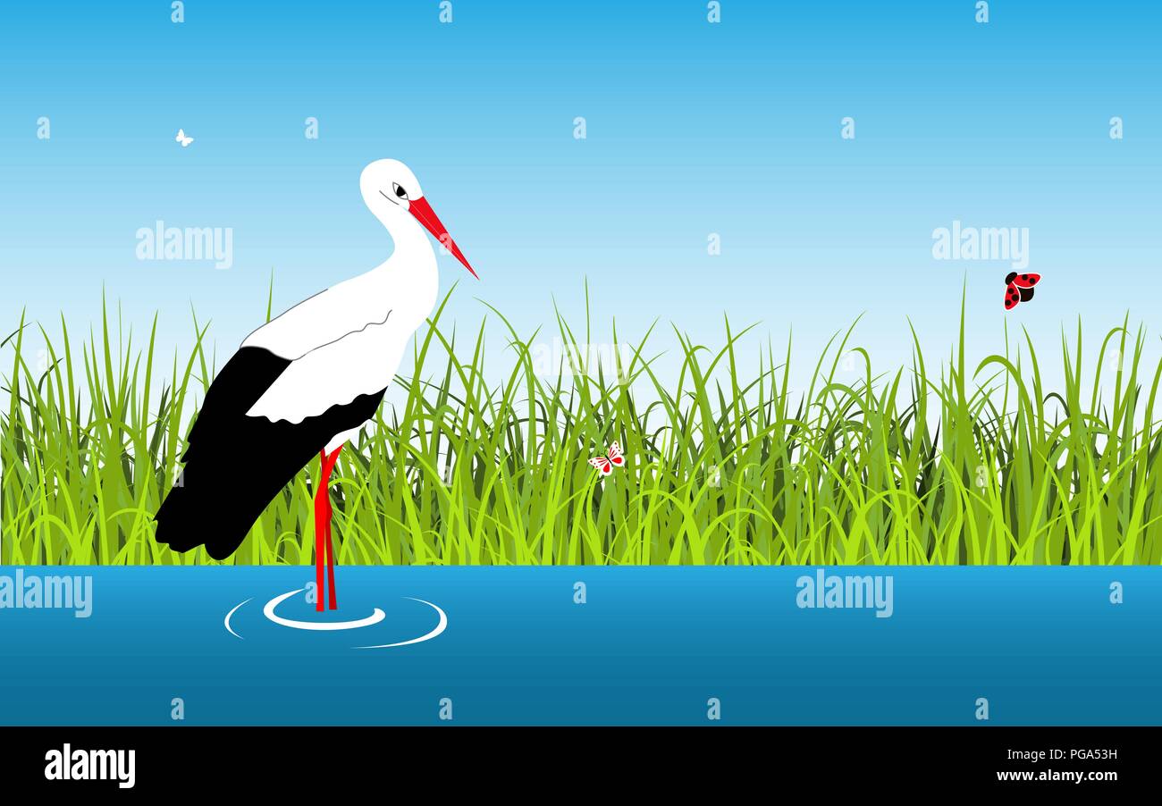 Cartoon vector paysage avec Stork et lake dans l'eau Illustration de Vecteur