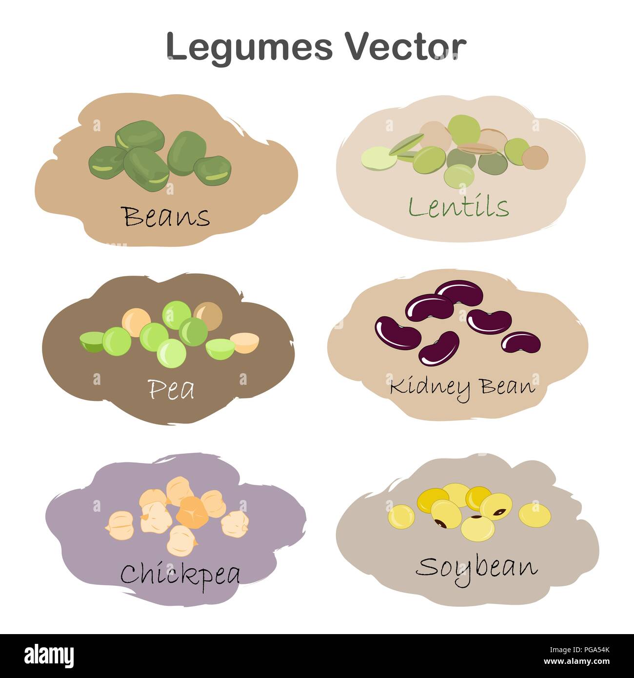 Ensemble d'étiquettes différentes légumineuses cartoon isolé sur fond blanc. Rein, soja, haricots verts, pois, pois chiches, lentilles. Illustration de Vecteur