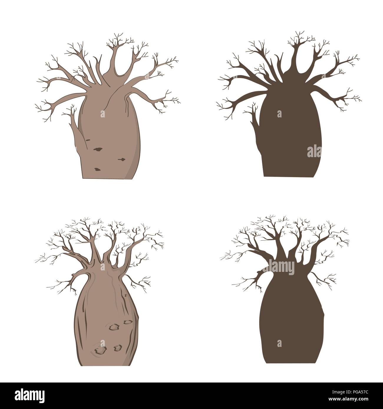 Arbre emblématique de l'Afrique. Baobab vecteur défini. L'Adansonia gregorii silhouette. Baobab en saison sèche, illustration Illustration de Vecteur