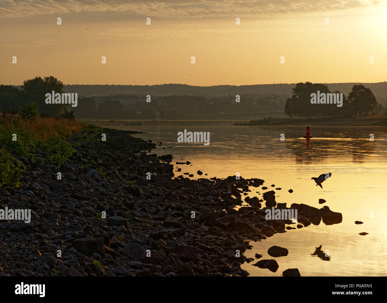 Moody la lumière au lever du soleil sur une rivière à faible niveau d'eau, un oiseau est juste à l'atterrissage sur une pierre, silhouette avec la réflexion, de l'humeur calme - Emplacement : Allemagne, Banque D'Images