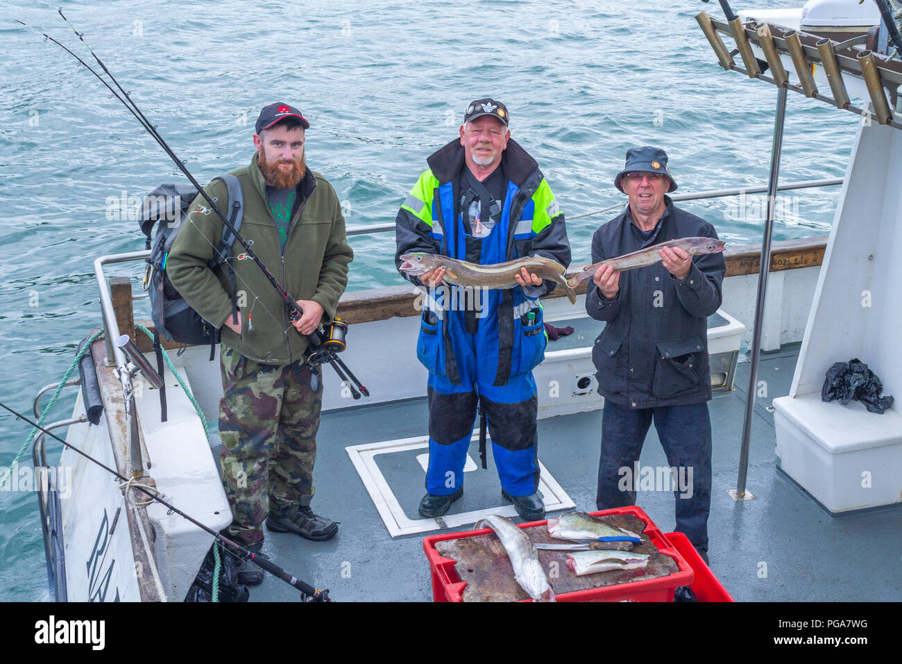 Les pêcheurs de la mer de retour au port de Baltimore avec leurs prises. West Cork, Irlande Banque D'Images