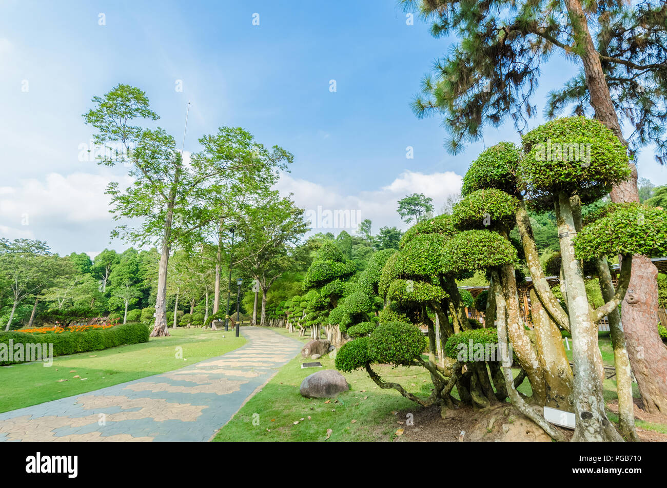 Lake Gardens également connu sous le nom de Kuala Lumpur Perdana Botanical Gardens, c'est le premier grand parc de loisirs de KL. Banque D'Images