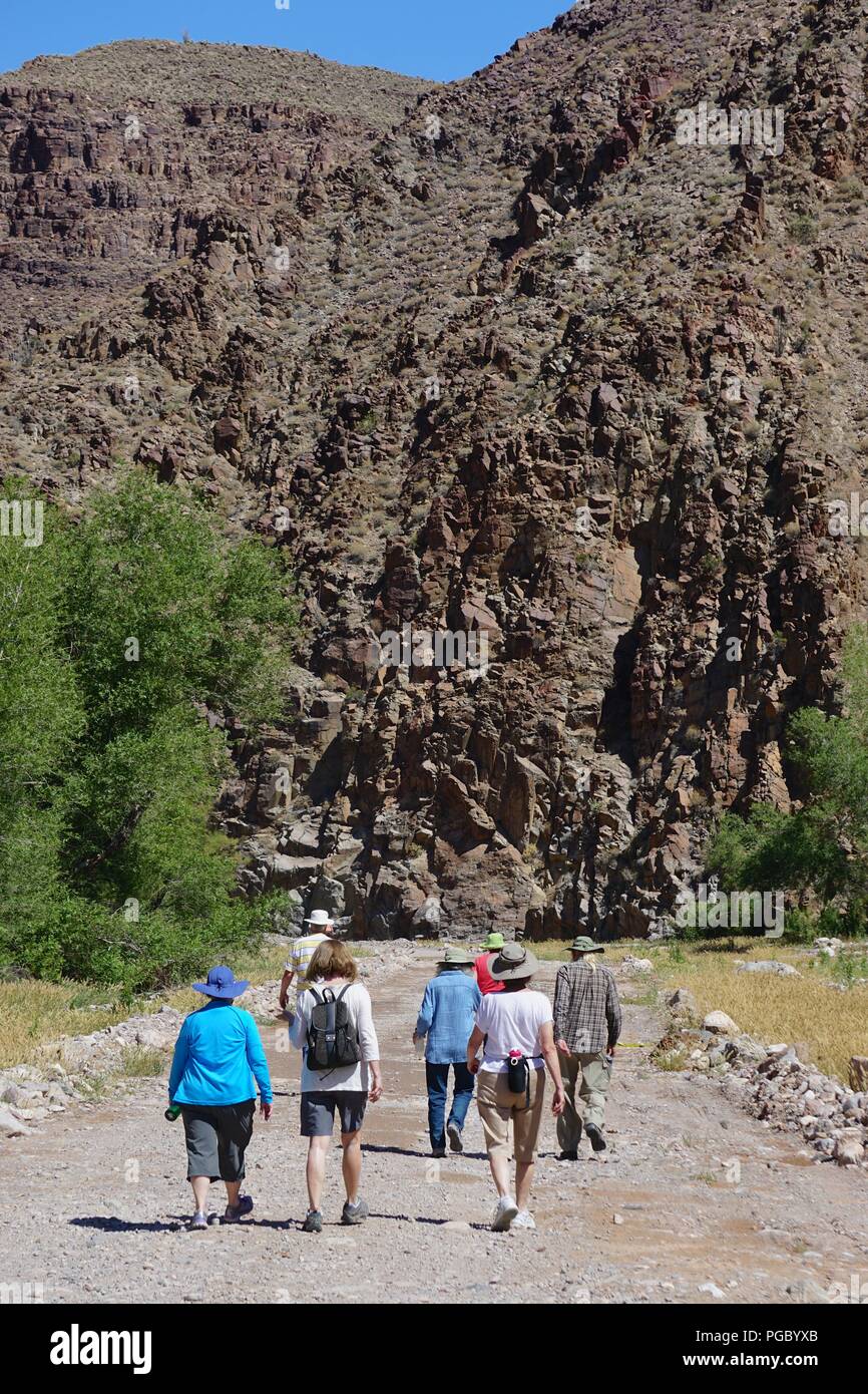 Peach Springs, AZ : les voyageurs à pied le long de la sinueuse route Diamond Creek par Peach Springs Canyon, Arizona, sur le chemin de la rivière Colorado. Banque D'Images