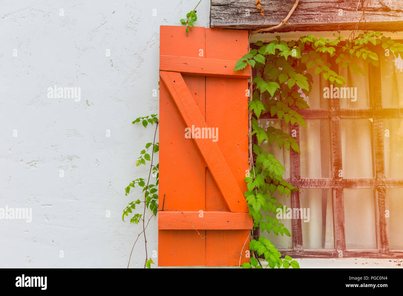 Maison de campagne avec windows rampant vine green natural Banque D'Images