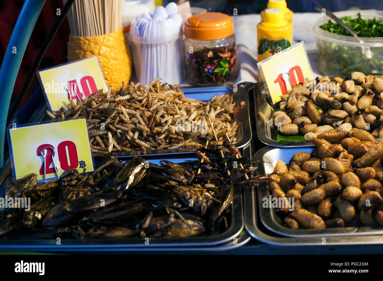 La nourriture thaïe épicée au plat de vers et d'insectes au marché de rue de nuit dans la ville de Phuket, Thaïlande. Protéines naturelles, selective focus Banque D'Images