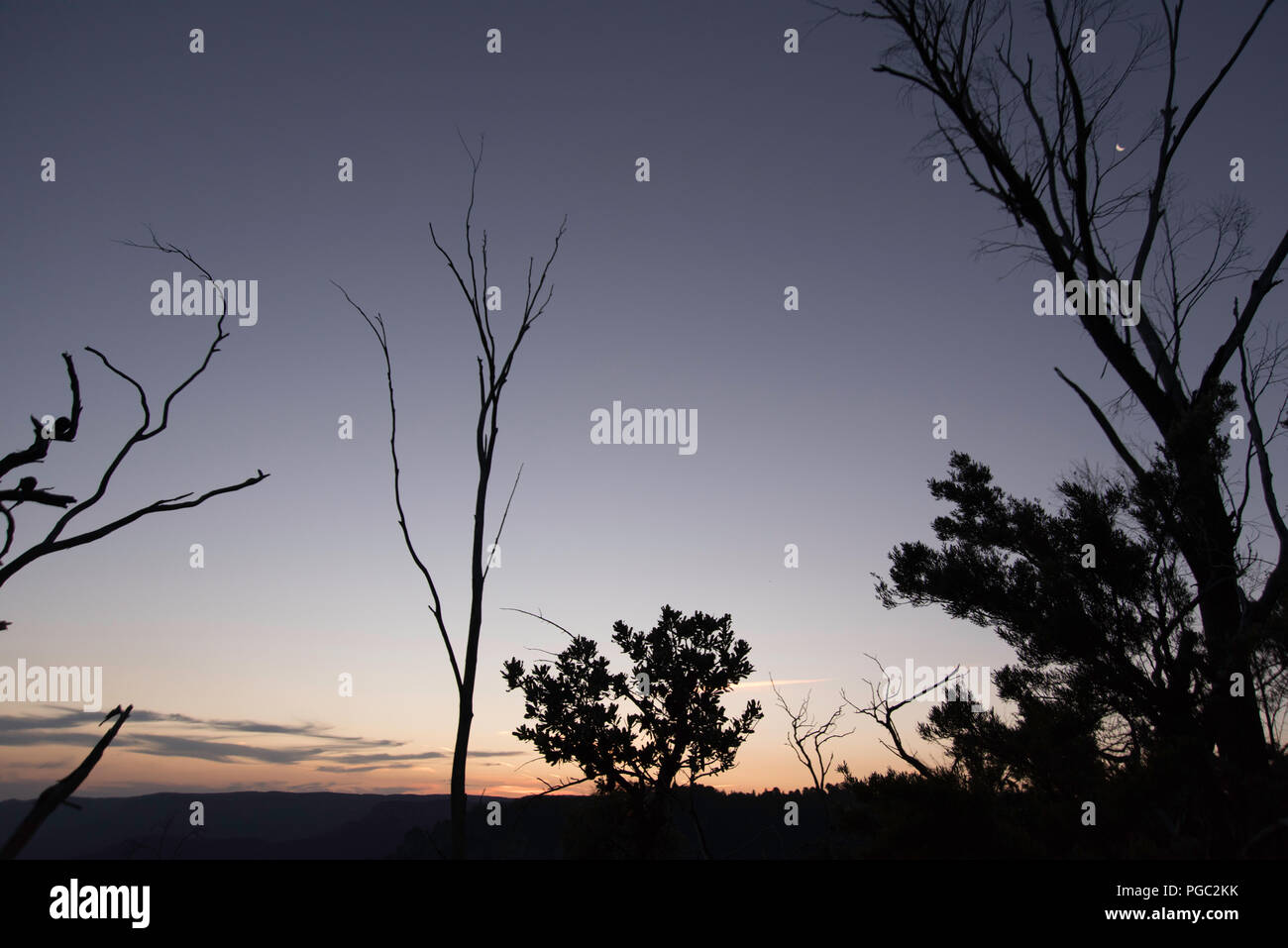 Crépuscule dans les Montagnes bleues d'Australie, avec des silhouettes d'arbres et la nouvelle lune Banque D'Images