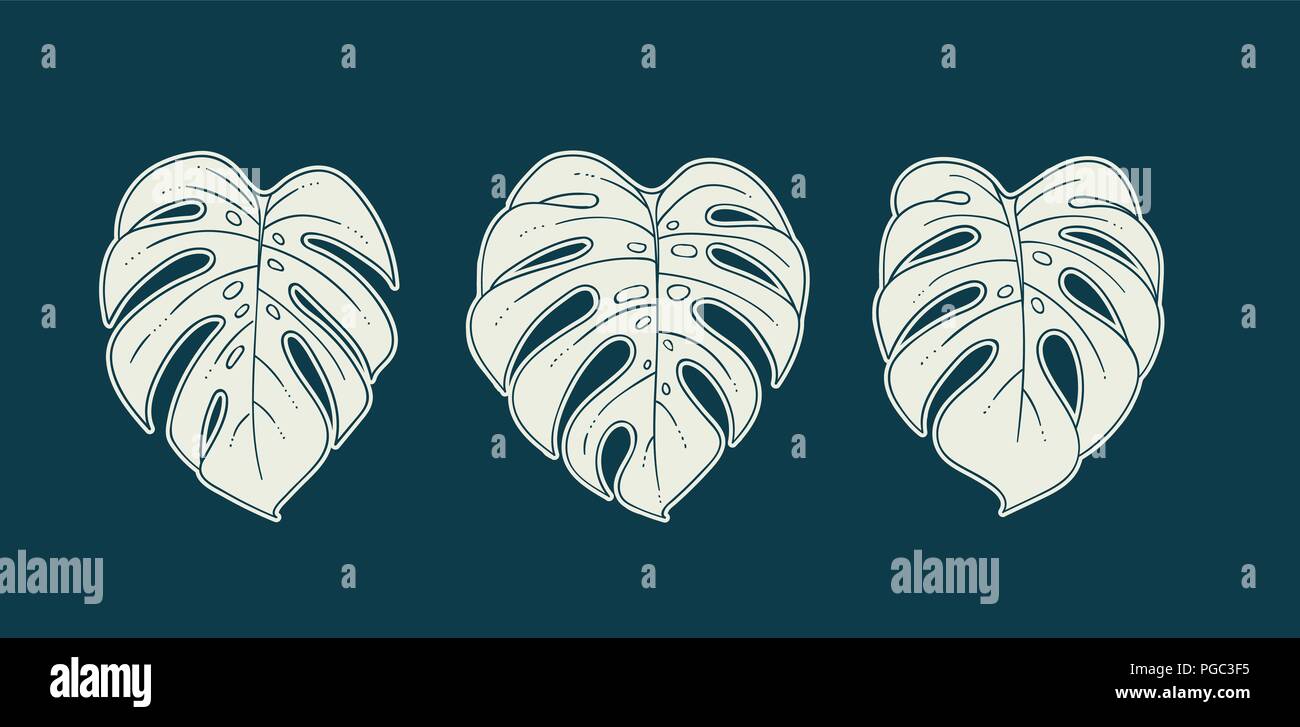 Les feuilles des plantes Monstera ensemble de trois monochromes isolés de l'intérieur moderne poster vector illustration Illustration de Vecteur