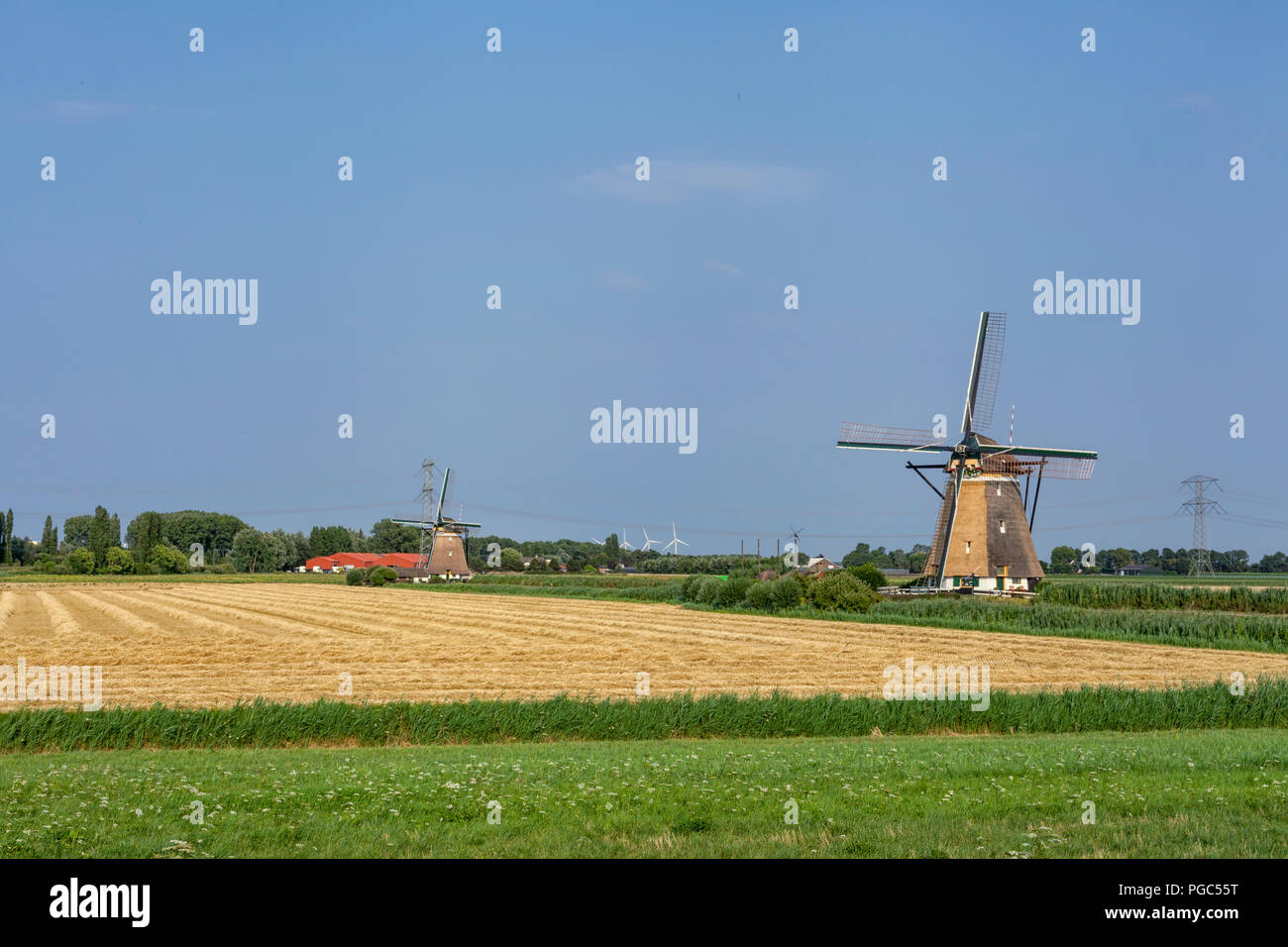 Les historiens néerlandais de moulins à vent près de la rivière Rotte, Rotterdam Banque D'Images