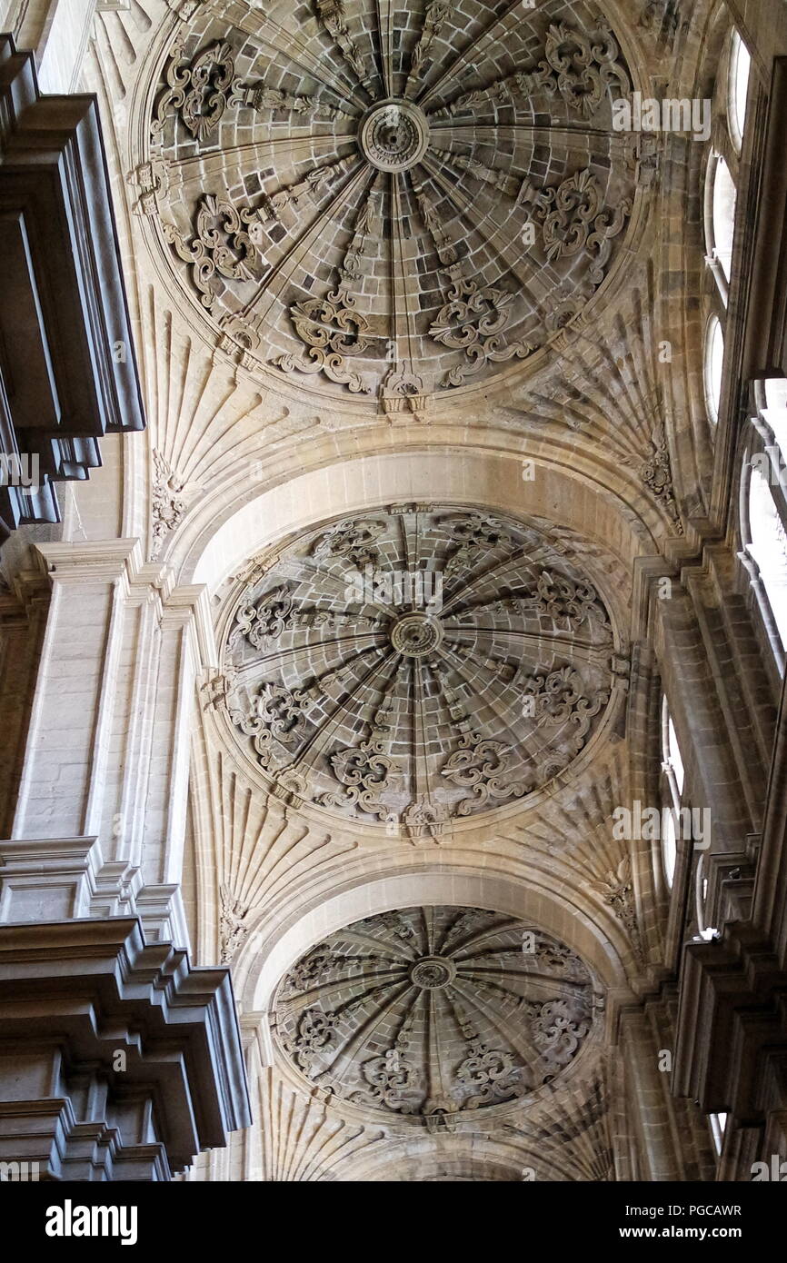 Espagne, Andalousie, Malaga, la cathédrale. Le haut plafond voûté Banque D'Images