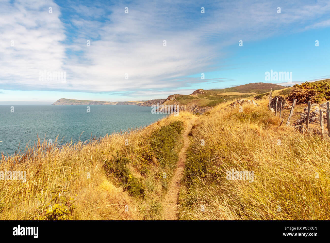 Chemin littoral La côte du Pays de Galles Fishguard Paysage sur un jour d'été juste Voyage Nature Royaume-Uni Banque D'Images