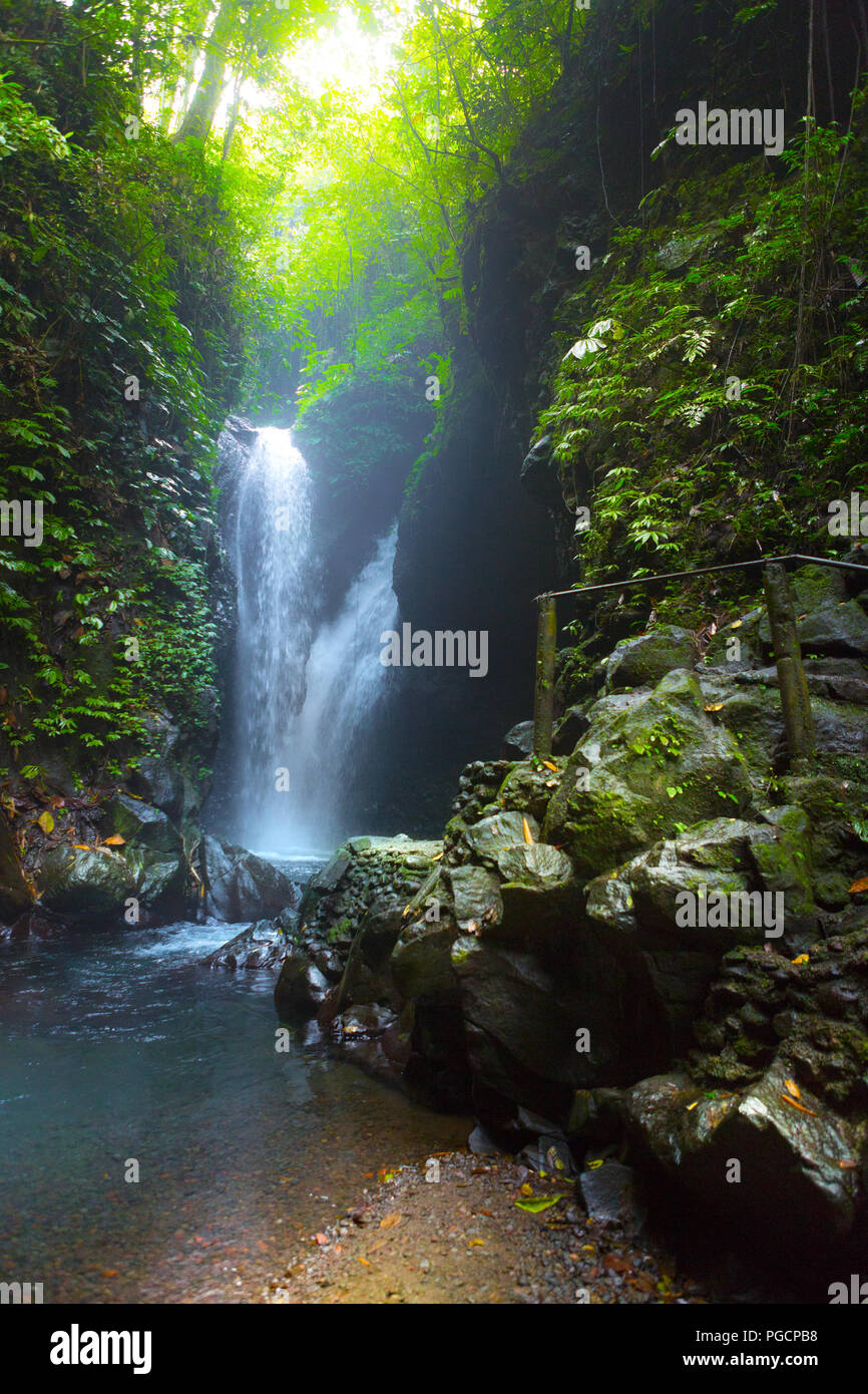 La cascade de Gitgit sur l'île de Bali, Indonésie Banque D'Images