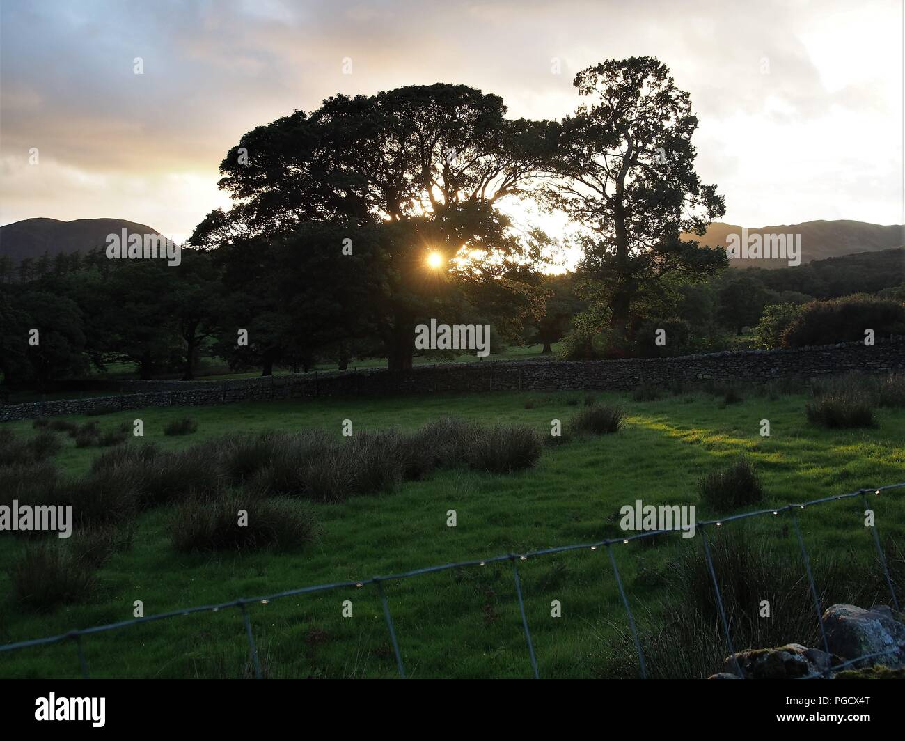 Soleil derrière les arbres dans Lanthwaite vert, Buttermere Valley, Parc National de Lake District, Cumbria, Angleterre, Royaume-Uni Banque D'Images