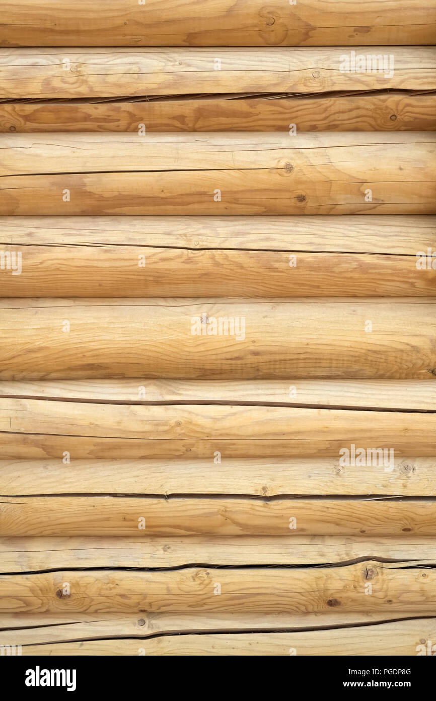 Log cabin ou dans un bâtiment non écorcées texturé mur arrière-plan horizontal with copy space Banque D'Images