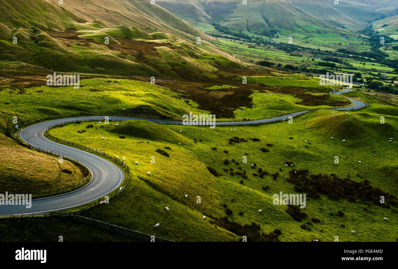 Brebis de Mam Tor, Peak District National Park, avec une vue sur le long de la route sinueuse entre les vertes collines jusqu'à la vallée de l'espoir, dans le Derbyshire, Angleterre. Banque D'Images