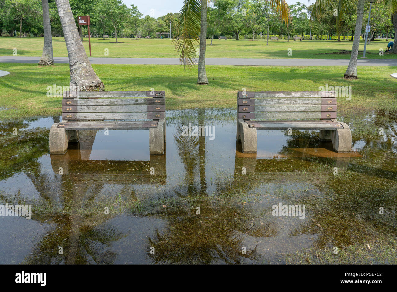 Singapour - 8 juillet 2018 : banc de parc dans le parc stéréo Banque D'Images