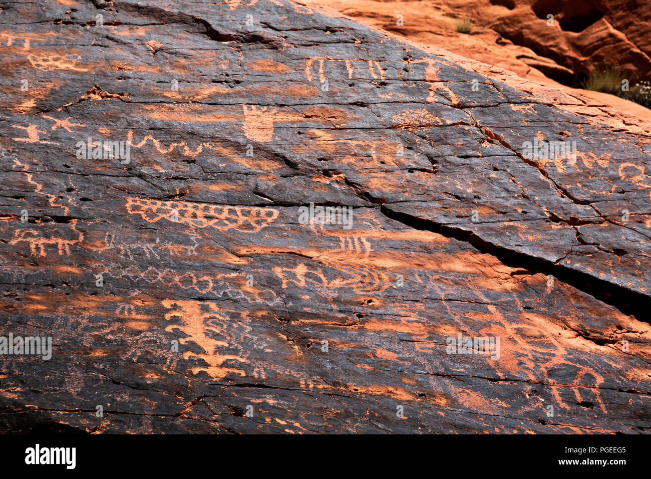 NV00008-00...NEVADA - des dessins d'animaux, de personnes et d'geometerical dessins sur le vernis du désert dans la région de Petroglyph Canyon, une partie de l'Entente Banque D'Images