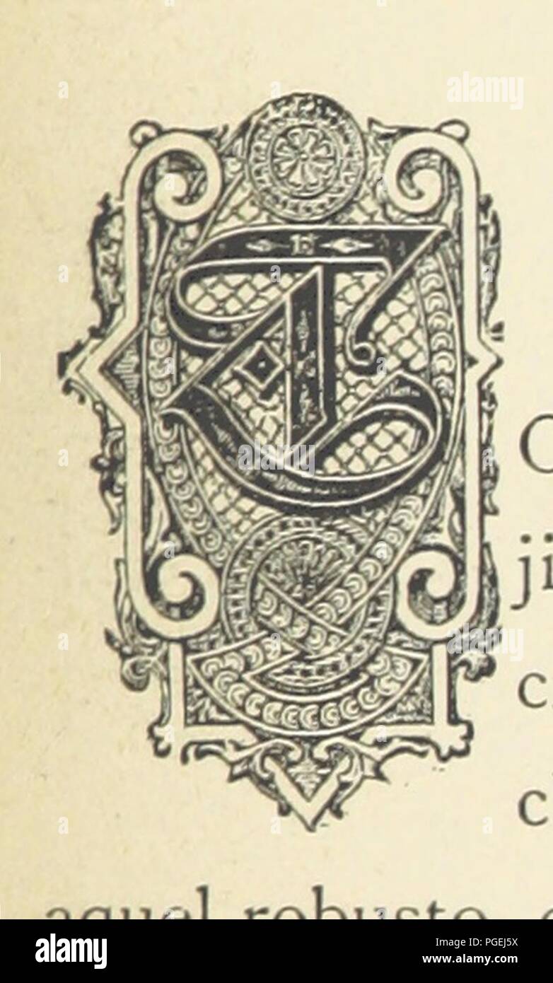 Libre à partir de la page 669 de "El album de la Gloria de Chile. Homenaje al ejército je Armada de Chile en la memoria de sus más marinos ilustres je soldados muertos por la patria en la guerra del Pacífico, 1879-180082. Banque D'Images